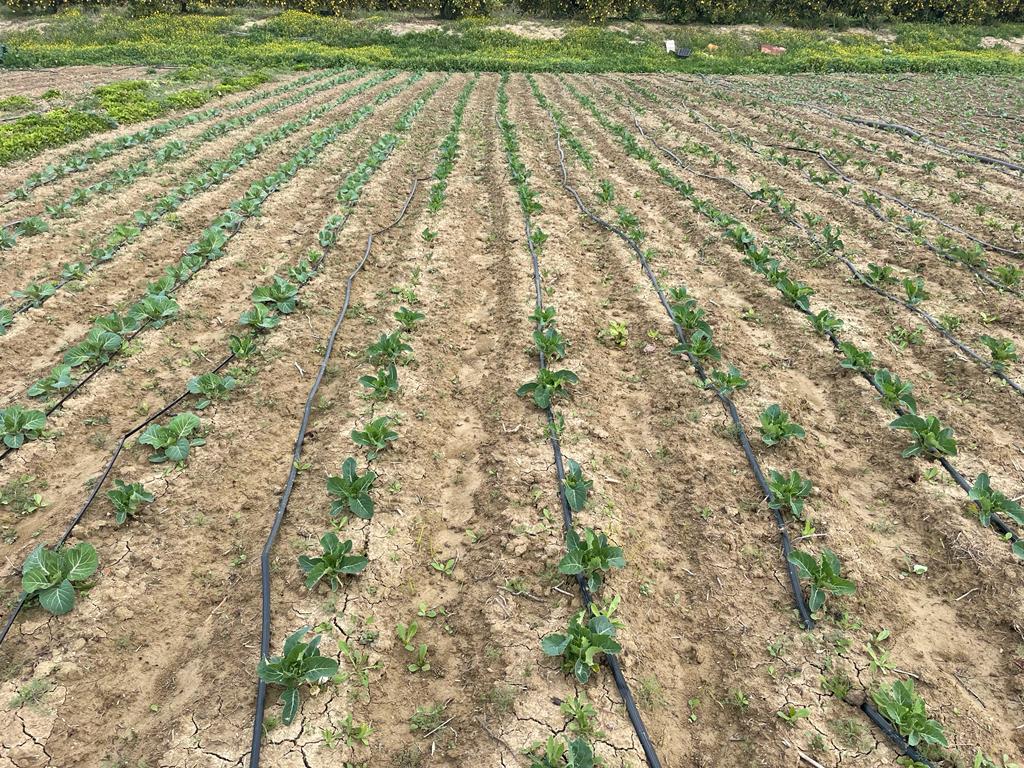 Comienzan las visitas a campo del GO Biosuero